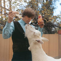 Dennis Wilson 作品合集