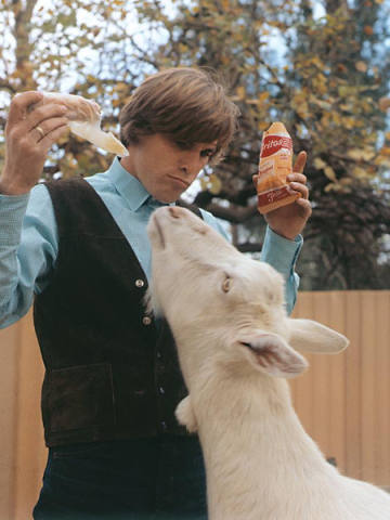 Dennis Wilson 作品合集