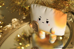 招财眼黑黑-资料图