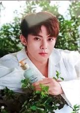 sabon茉莉系列 ver.9