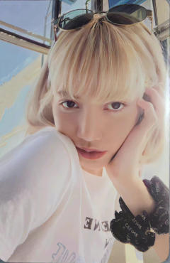专卡粉版莎 verA.
