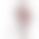 缇亚莫