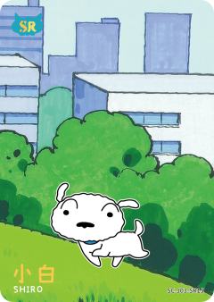 温情卡