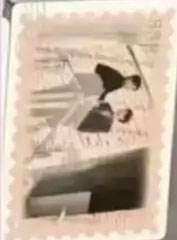 SSR【仲夏来信】