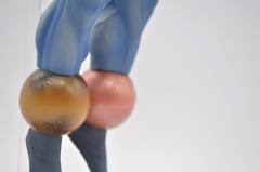 プラネットマン New Chapter ver. (Original color)-资料图