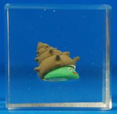 Crystal Monsters Cube Type 寄居史莱姆 -资料图