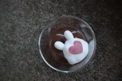 520兔分子-资料图