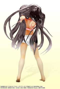 夏娜 Black Hair Clear ver.-资料图