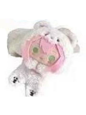 姬宫桃李-抱抱熊围巾