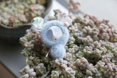 卡塔卡塔-蓝色-资料图