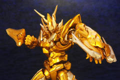 莱丁 GOLD Ver.-资料图