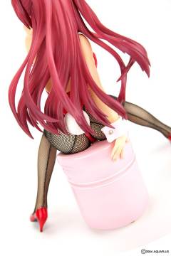 向坂环 Bunny ver.-资料图