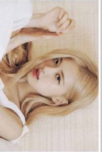 夏威夷pb明信片 肉 ver.B