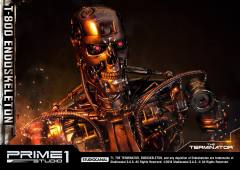 T-800 -资料图