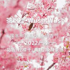 埃塞尔比亚·茶粉樱G1·wushwush品种