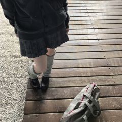 灰栗-资料图