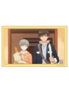 月城雪兔&木之本桃矢-透明牌篇 TV场面写相卡vol.2