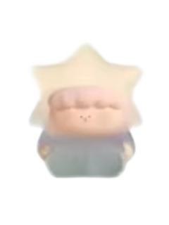玫瑰海星