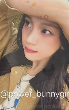 ms预售 智