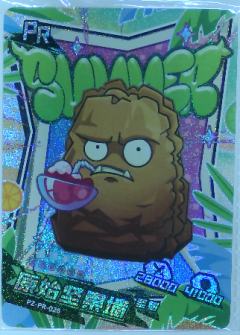 原始坚果墙