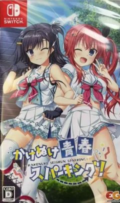 闪耀★青春追逐记