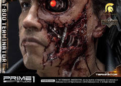 T-800 DX version-资料图