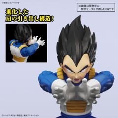FRS 贝吉塔（NEW SPEC）-资料图