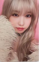 单封版专卡 ver.2