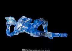 SHF 风马奥特曼 特别彩透版-资料图