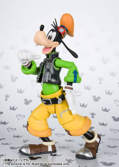 SHF 高飞-资料图