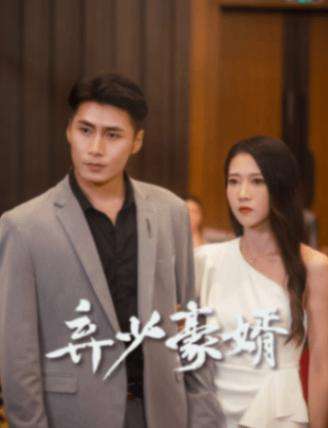 弃少豪婿