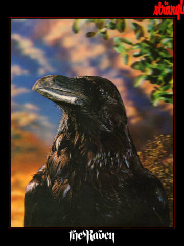 The Raven
