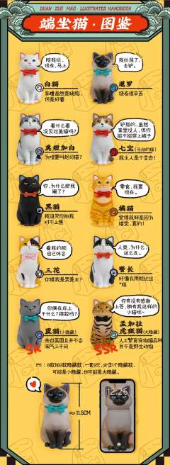 橘猫-资料图