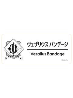 Vezalius Bandage-2025Fes名札