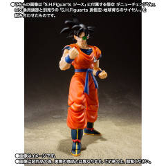 SHF 吉斯-资料图
