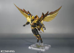 SHF 金凤凰-资料图