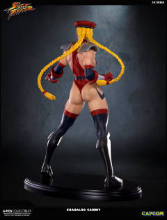 Mixed Media 嘉米·怀特 Shadaloo Cammy-资料图
