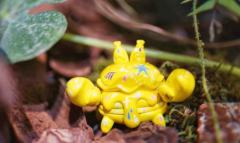 黄色涂鸦蟹-资料图