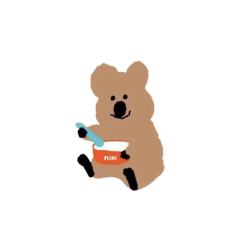Quokka