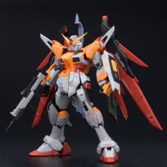 RG ZGMF-X42S 命运高达（海涅专用机）