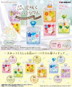 Sumikko Gurashi Herbarium 假蜗牛 蜥蜴 -资料图
