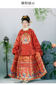 大襟补服-狮狮如意-资料图