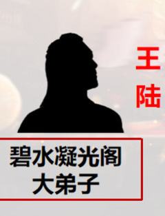 龙城拍卖会-资料图