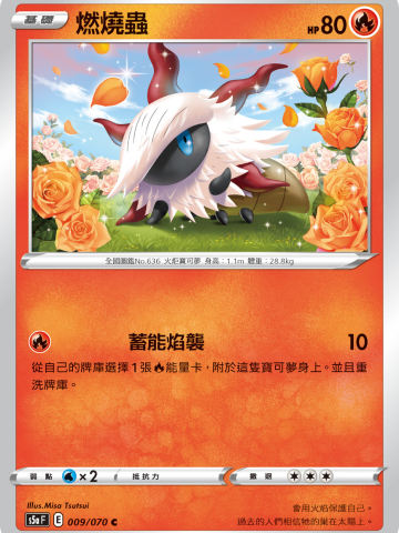 燃烧虫