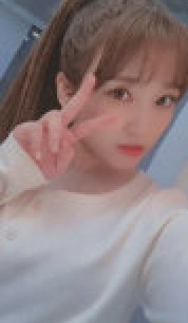 diary专卡6 ver.B
