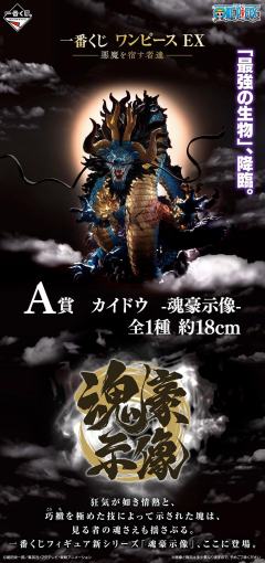 A赏 凯多 魂豪示像-资料图