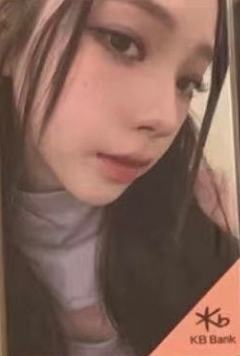 印尼入场卡 柚