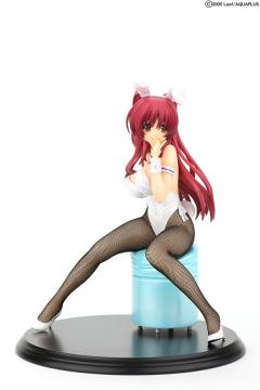 向坂环 Bunny ver.-资料图