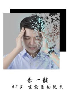 湖心岛-资料图