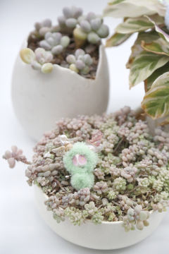 卡塔卡塔-绿色-资料图